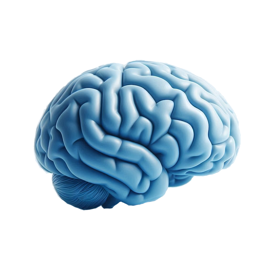 A new holistic Atlas providing 350 structures is now available